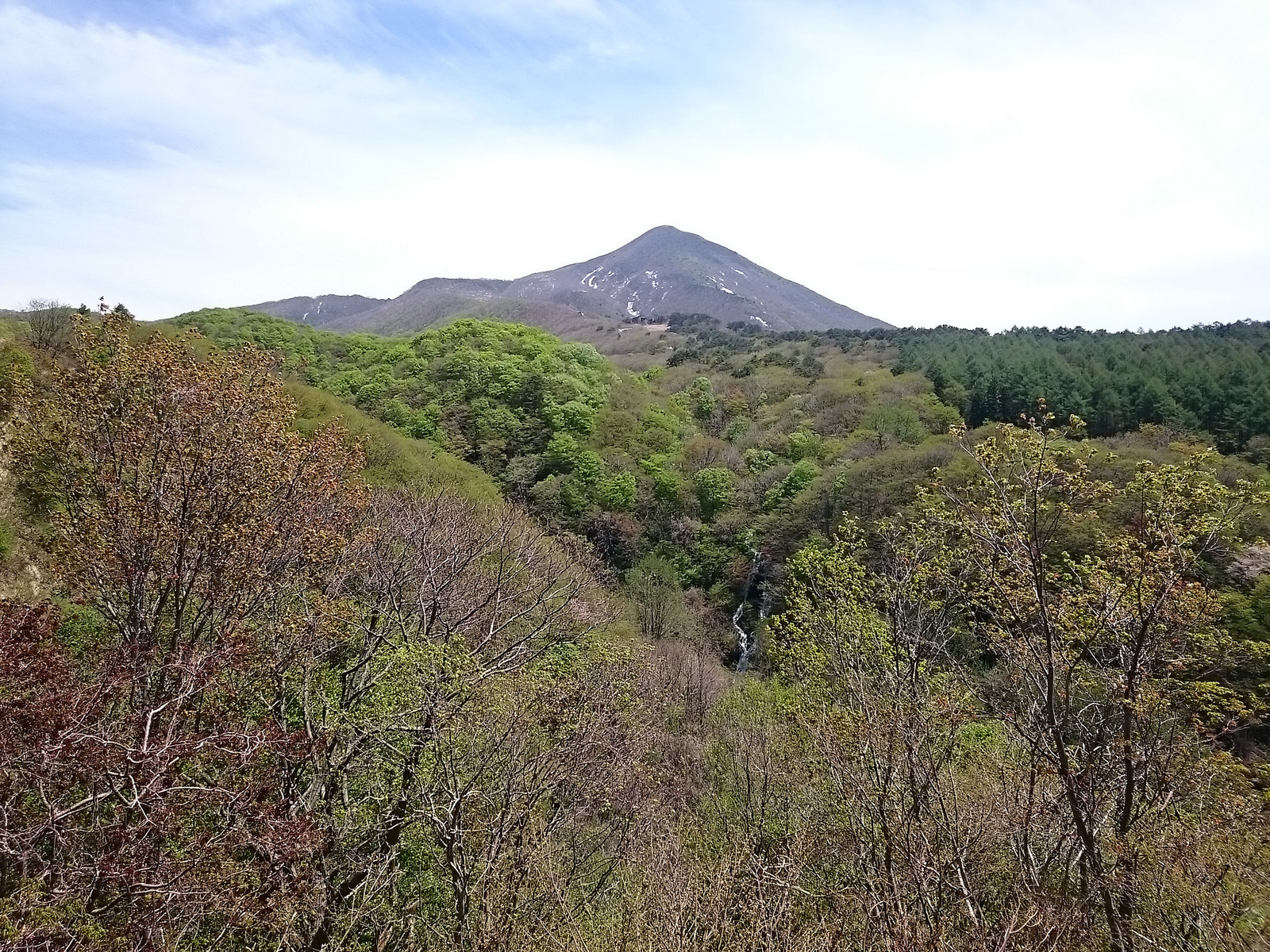 DSC_0011_1431091796748