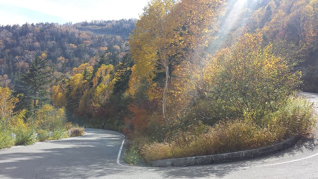 20151004_135236